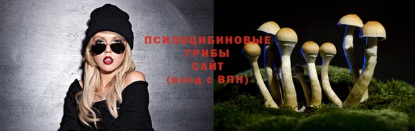apvp Лиски