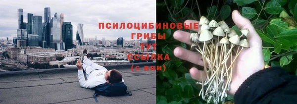 дмт Лихославль