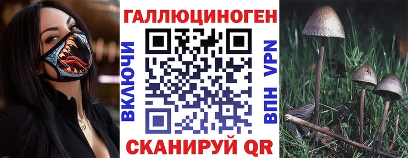 Купить  Новый Уренгой  Псилоцибиновые грибы ЛСД 