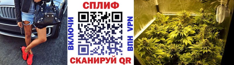 Бошки марихуана Ganja Купить где Новый Уренгой